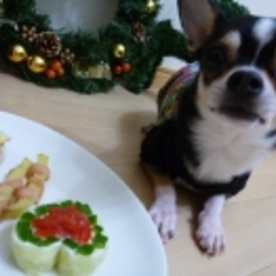 犬用 お野菜ケーキ レシピ 作り方 By Jp S ビートル 楽天レシピ 犬用 お野菜ケーキ レシピ 作り方 By Jp S ビートル 楽天レシピ